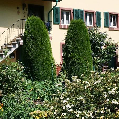 Dani'S Ferienwohnung Freiamt المظهر الخارجي الصورة